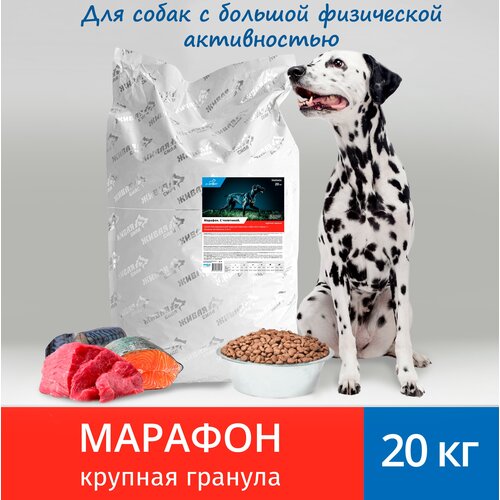 Живая Сила JJ-SPORT Марафон сухой корм для взрослых собак всех пород с телятиной крупная гранула 20 кг