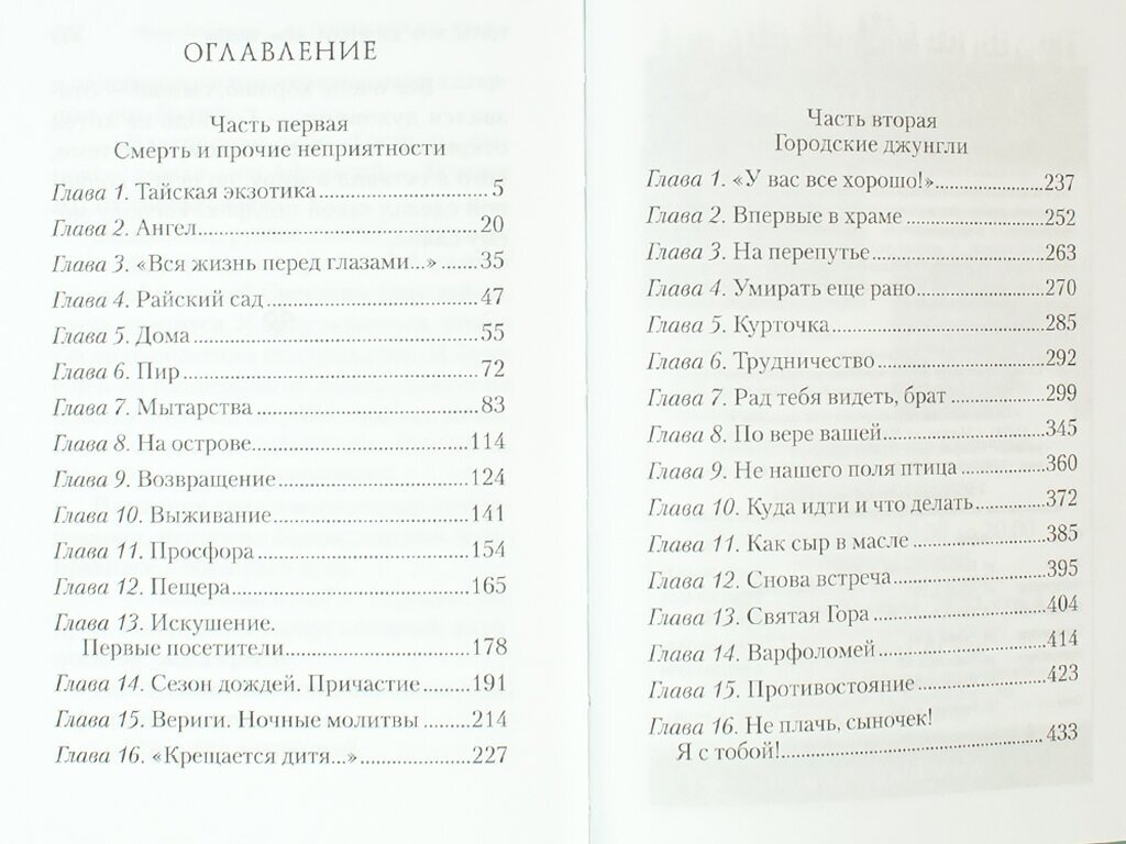 "И пойду искать края..." - фото №10