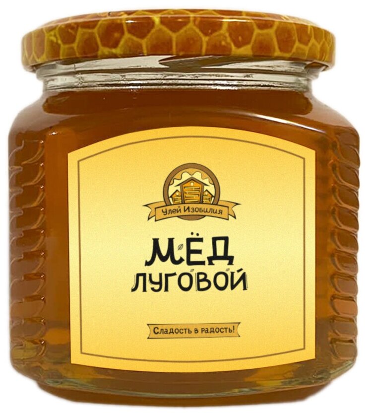Мёд натуральный, луговой, разнотравье, сбор 2022 года, 550 гр - фотография № 1