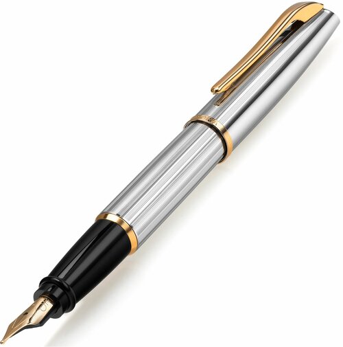 Перьевая ручка AURORA Style Chrome Plated Barrel and Cap Gold Plated Trim (AU E14-M)