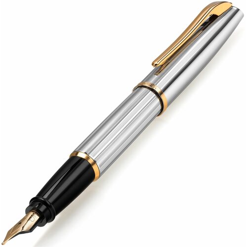 Перьевая ручка AURORA Style Chrome Plated Barrel and Cap Gold Plated Trim (AU E14-M)