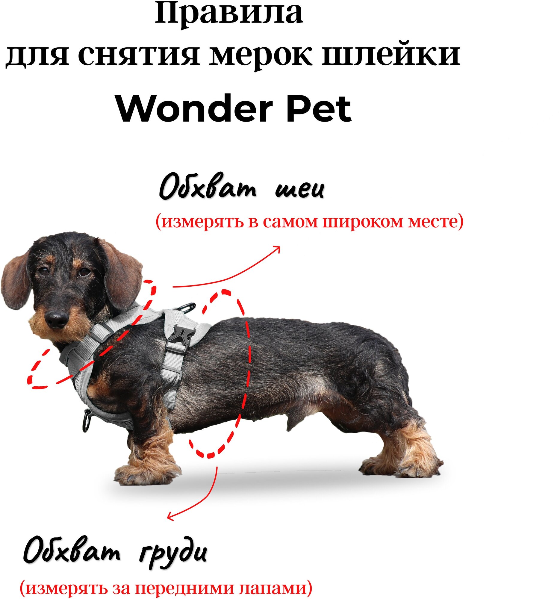 Шлейка прогулочная для собак и кошек регулируемая Wonder Pet / размер L / серая - фотография № 4