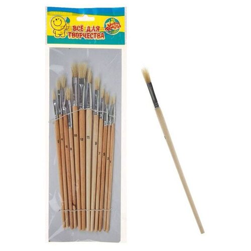 фото Набор кистей школа талантов щетина плоские, 12 шт (670033)