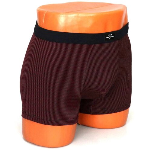 Плавки Vericoh, размер 2XL, бордовый