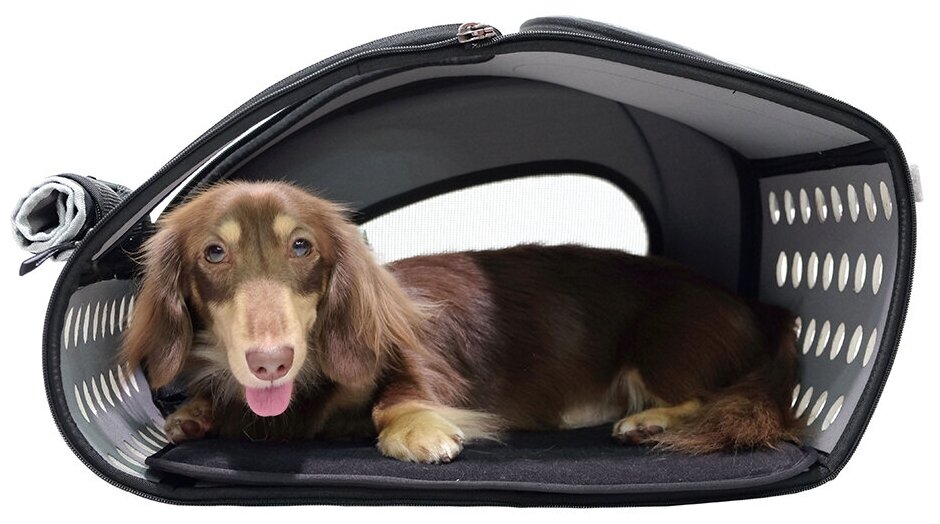 Сумка-тележка Ibiyaya для собак складная, до 8 кг, 3 в 1 (сумка, рюкзак, тележка), цвет: синий, 58x30x34 см - фото №19