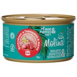 Консервы Molina для собак Цыпленок и Говядина в желе, 70гр, 2шт - изображение