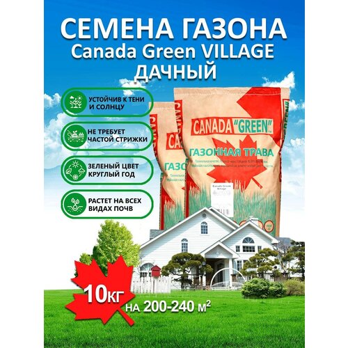 Газонная трава семена Канада Грин Дачный Village 15 кг/ мятлик, райграс, овсяница семена для газона