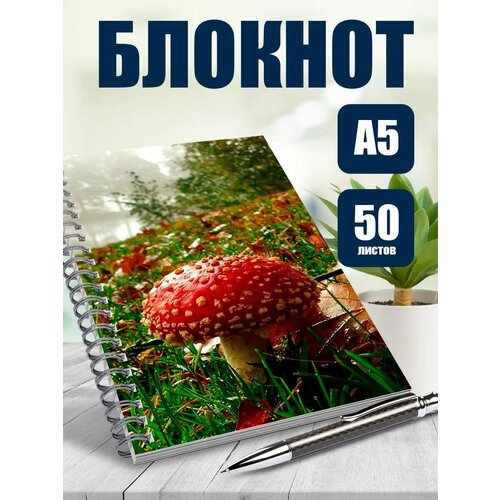 Блокнот А5 Грибы