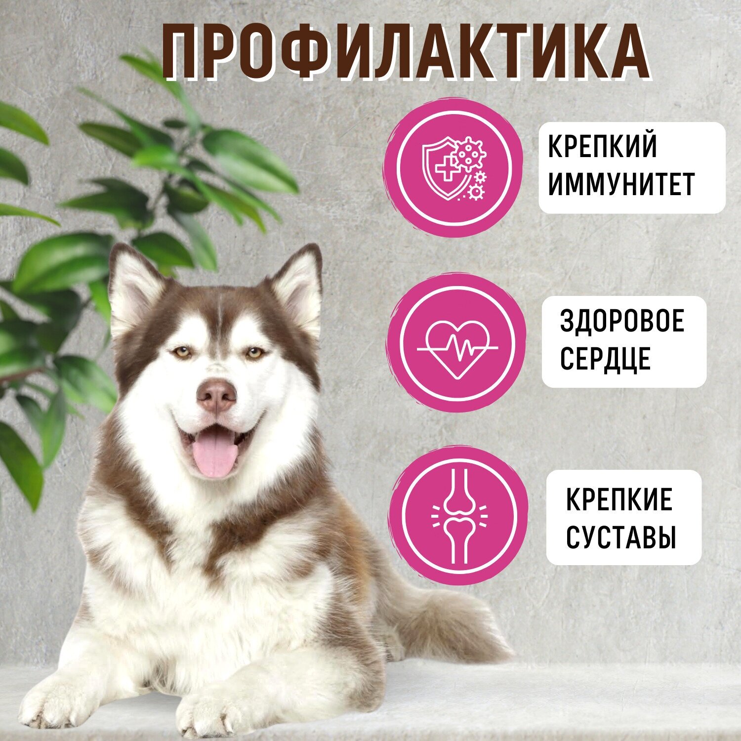 Grandorf Fresh Сухой корм для собак мелких пород, с уткой и бататом, 3 кг - фото №13