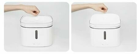Коты пьют воду из умной поилки Xiaomi Smart Pet Fountain