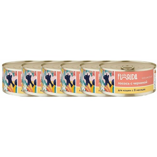 FLORIDA консервы для кошек Лосось с черникой 0,1 кг. х 6 шт.