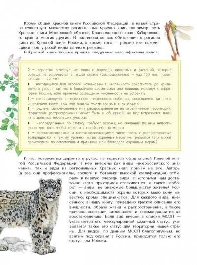 Красная книга России (Пескова И.М., Дунаева Ю.,Новичонок А., Полякова Н., Валуйский М., Снегирёва Е.) - фото №11