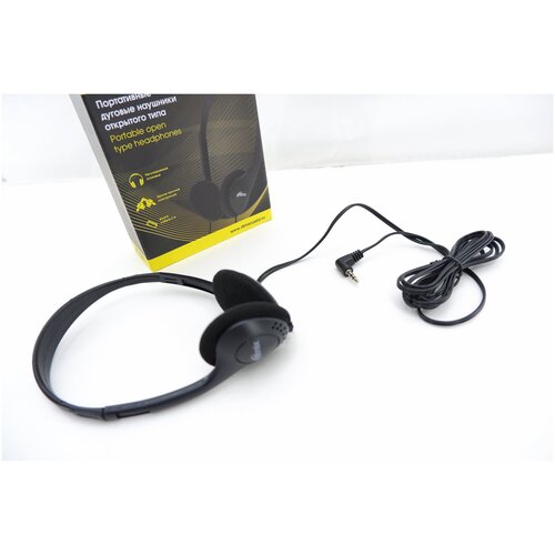 Наушники Ritmix RH накладные кабель 2м чёрные 39000₽