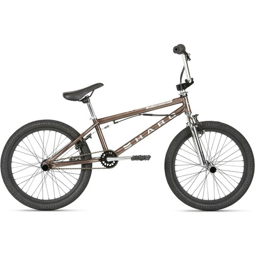 BMX Haro Shredder Pro 20 DLX 2021 20 Серый 135-165 см 2330000₽