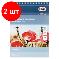 Комплект 2 шт, Альбом для акварели, 24л, А4, на спирали Гамма "Студия", 200г / м2, среднее зерно, перфорация на отрыв