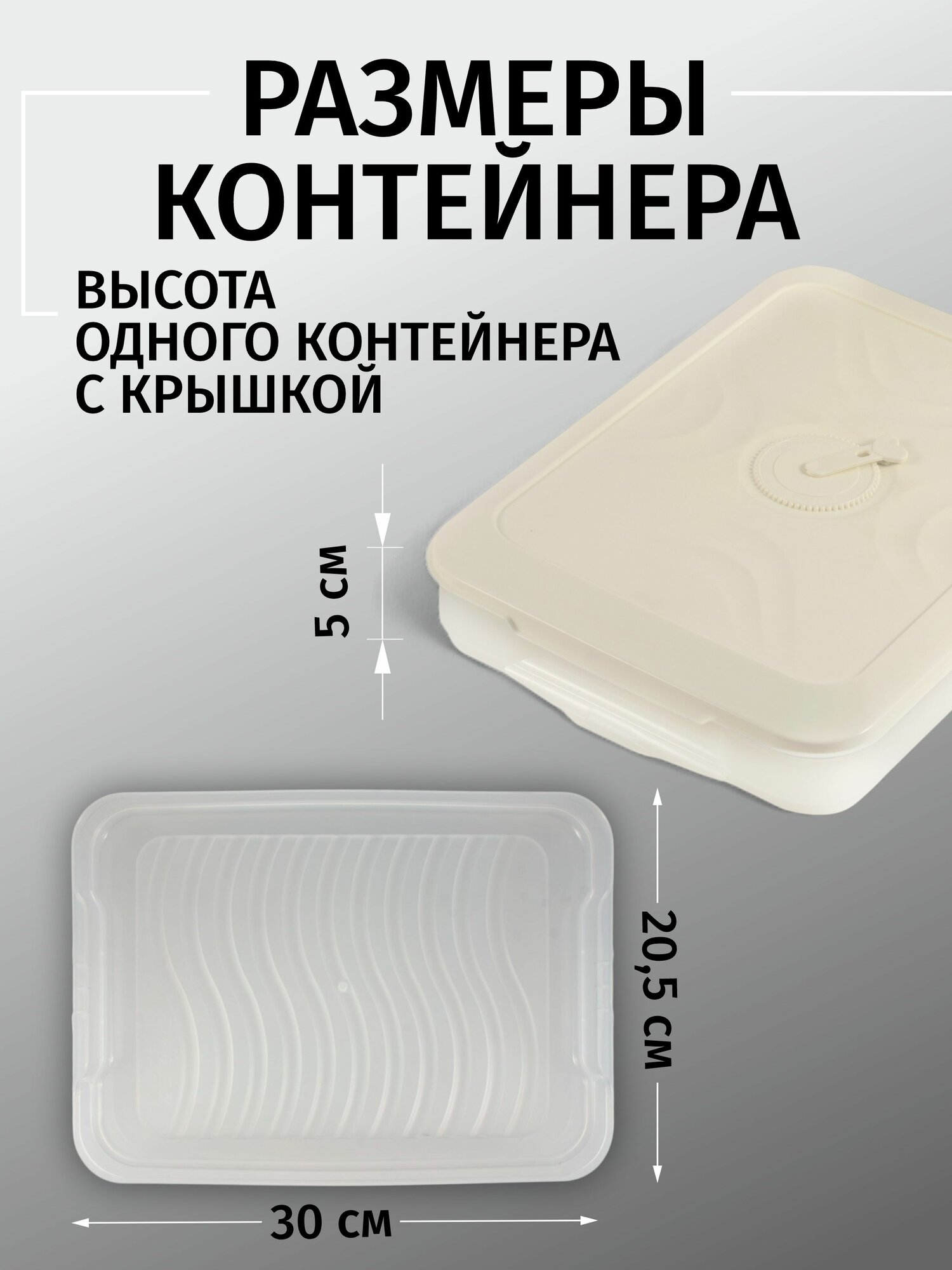 Поднос контейнер для заморозки пельменей , Лоток бокс для хранения в холодильнике, Органайзер для морозильной камеры — фото 1