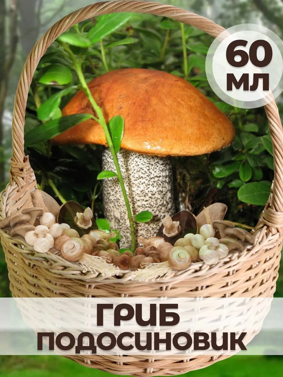 Мицелий гриба 