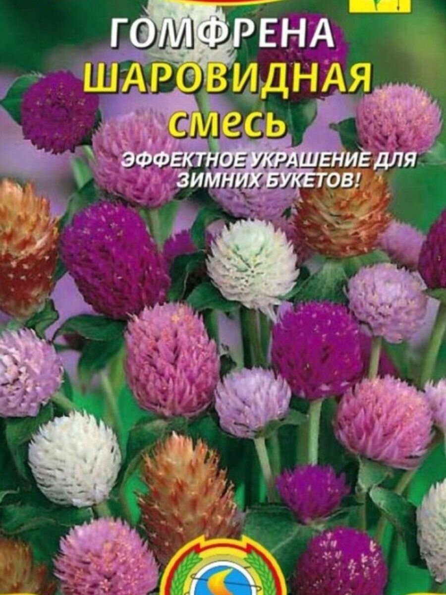Гомфрена шаровидная смесь 01 г Плазменные семена