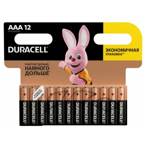 Батарейки Duracell LR03 Basic MN2400 BL12