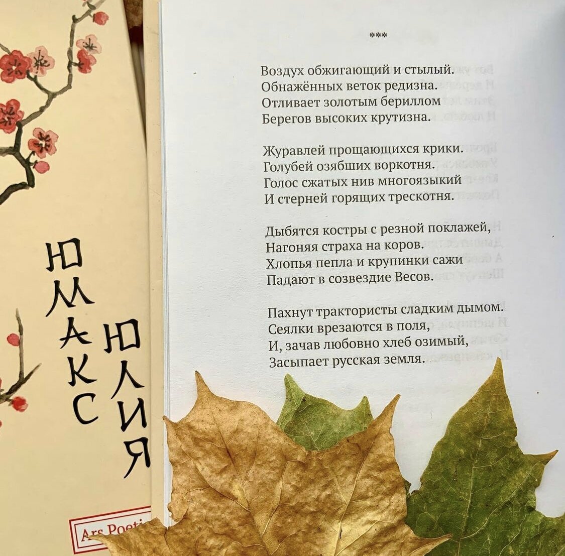 Первая весна (Юмакс Ю.) - фото №9