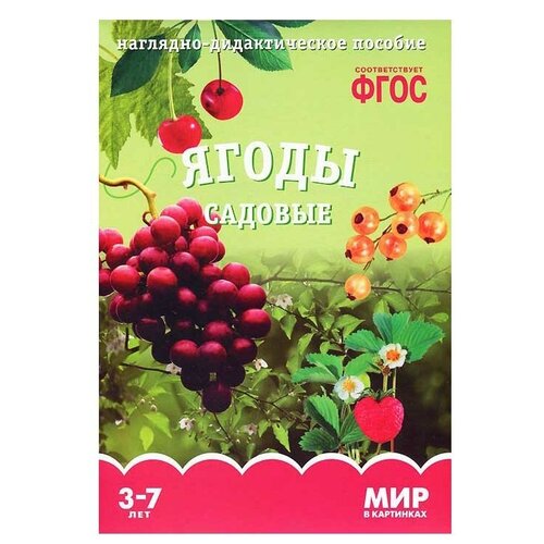 Мозаика-Синтез ФГОС Мир в картинках. Ягоды садовые, 20.5х29.5 см набор карточек мозаика синтез фгос мир в картинках посуда 29 5x20 5 см 8 шт