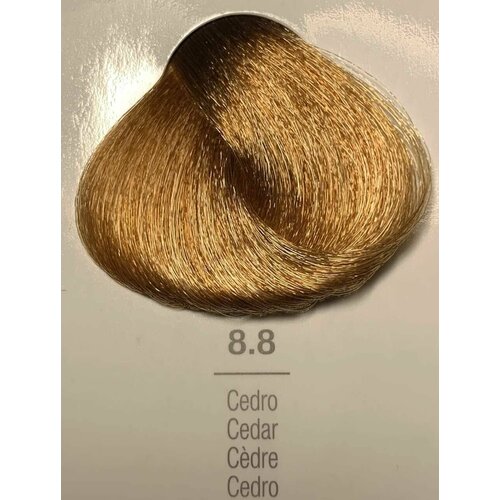 Emsibeth Cromakey In Профессиональная крем-краска для волос 100 мл.