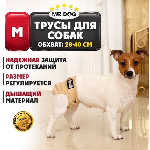 Трусы для собак многоразовые Mr Dog для девочек, подгузник для собак, памперс для собак, M