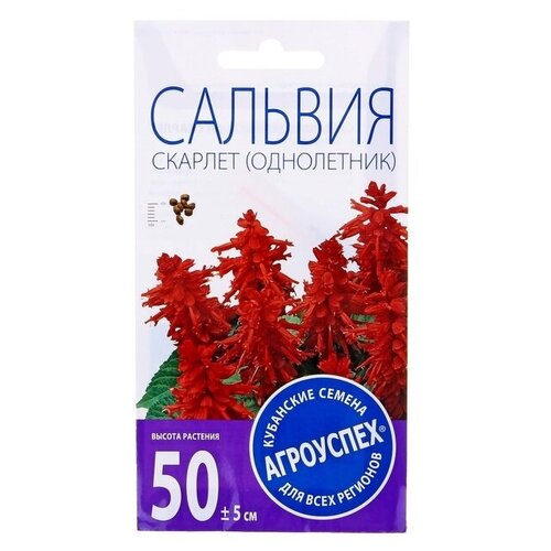 Семена цветов Сальвия Скарлет, О, 0,1г