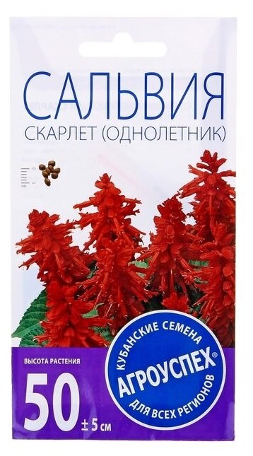 Семена цветов Сальвия Скарлет, О, 0,1г (1шт.)