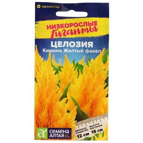 Семена цветов Целозия Кимоно, желтый факел, перистая 10 шт 6 упаковок семена цветов целозия перистая кимоно 0 1гр