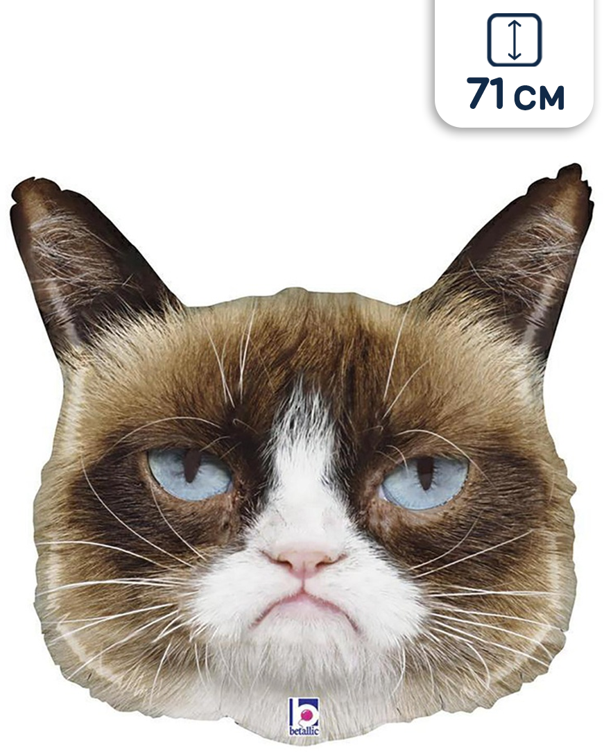 Воздушный шар круг Сердитая кошка, 71 см