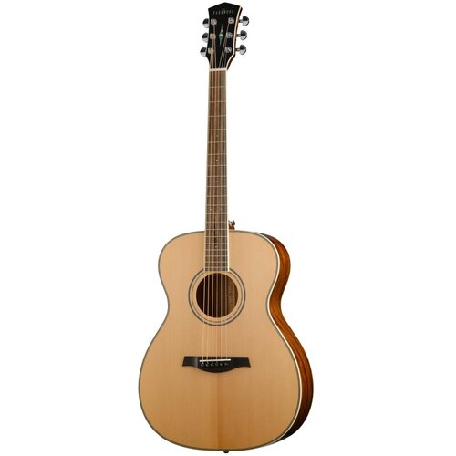 P620-WCASE-NAT Акустическая гитара, с футляром, Parkwood