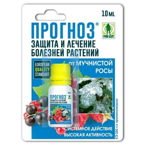 Средство Грин Бэлт, Прогноз, от болезней растений, флакон в блистере, 10 мл(2 шт.) средство грин бэлт сонет ампула 2 мл