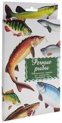 Дидактические карточки Маленький гений Речные рыбы, 25х15 см