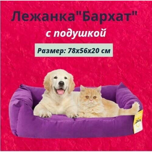 Лежанка "Бархат" прямоугольная пухлая с подушкой Моськи-Авоськи, 78х56х20 см, цвет фиолетовый