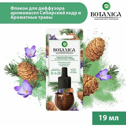 Сменный флакон для диффузора аромамасел Air Wick Botanica Сибирский кедр и ароматные травы 190мл х 3шт