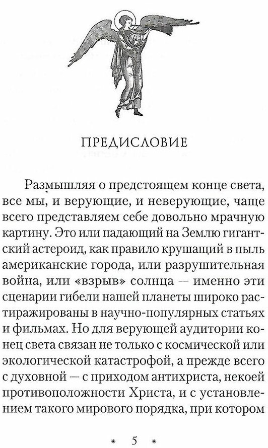 Последние времена (Волкова Мария Витальевна) - фото №10