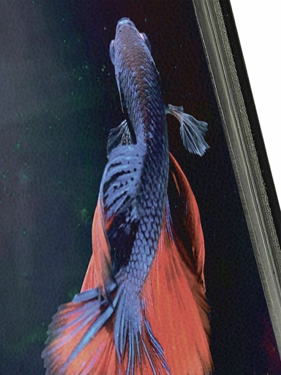Чехол-книжка Красно-синяя рыба на Xiaomi Mi 9T / Mi 9T Pro / K20 / K20 Pro / Сяоми Ми 9Т / Ми 9Т Про черный