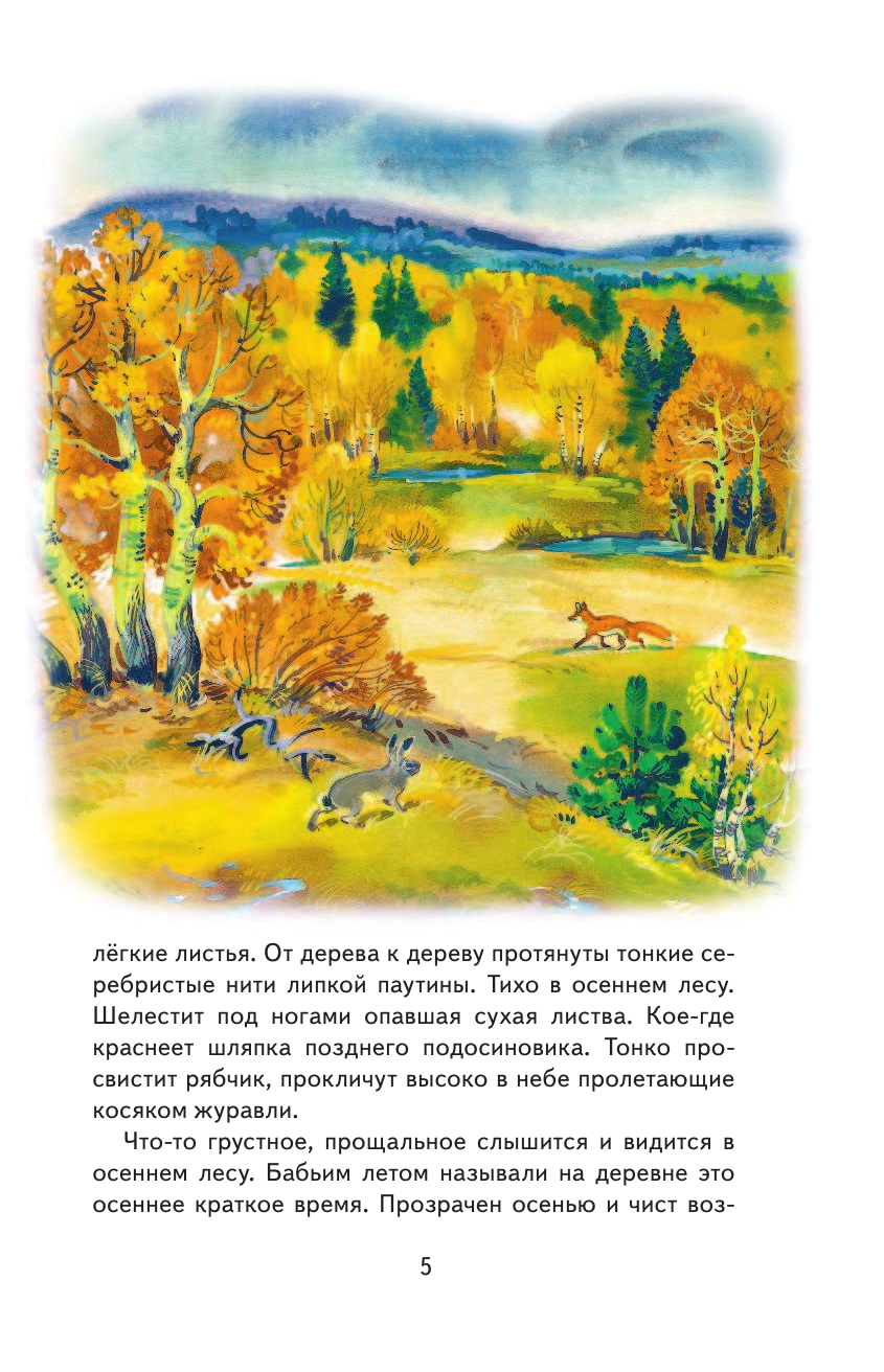 Русский лес (Соколов-Микитов Иван Сергеевич) - фото №8