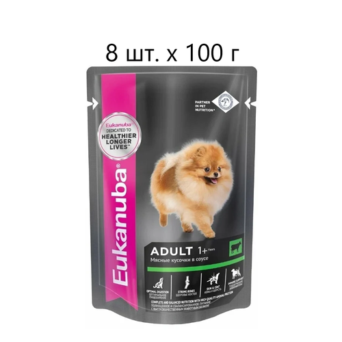 Влажный корм для собак Eukanuba Adult 1+ years, для здоровья кожи и шерсти, c говядиной, 8 шт. х 100 г (кусочки в соусе)