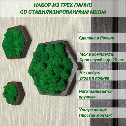 Панно - кашпо на стену со стабилизированным мхом , соты 10, 15, 20 см, цвет венге