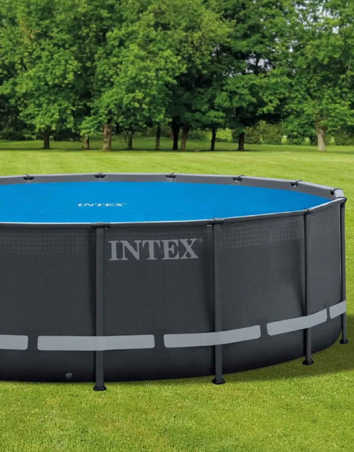 Intex - фото №14