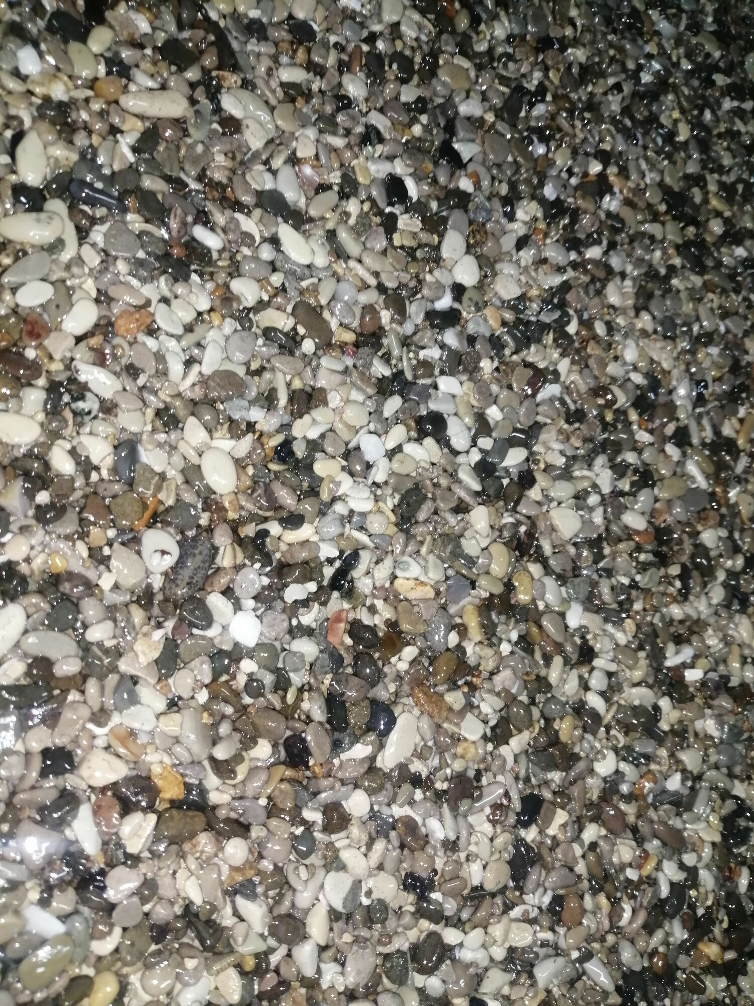 фото Каменный ковёр