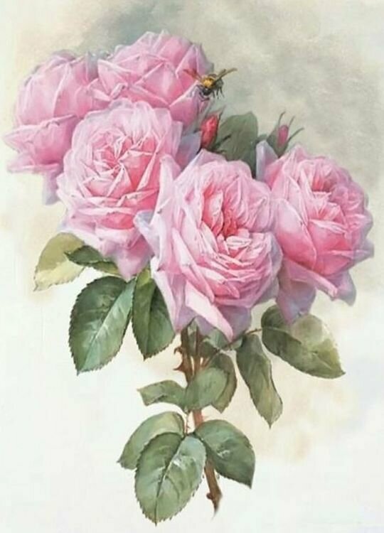Рисунок на ткани Каролинка "Букет роз", 19,5x24,5 см
