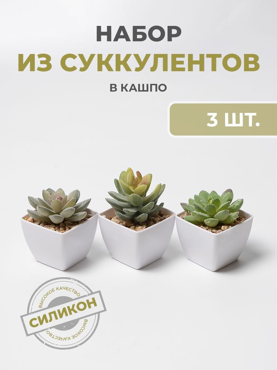 Искусственные суккуленты "Горшки"