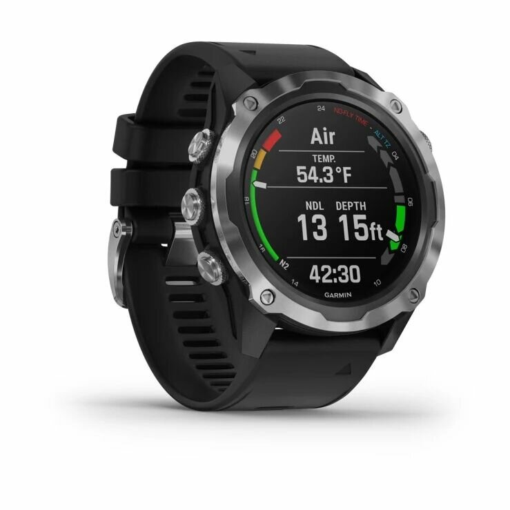 Garmin Descent Mk2 Stainless Steel with Black Band (010-02132-00)