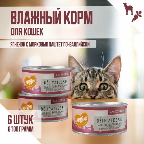 Влажный корм Мнямс для кошек "Паштет по-валлийски", Ягненок с морковью, 100 г х 6шт