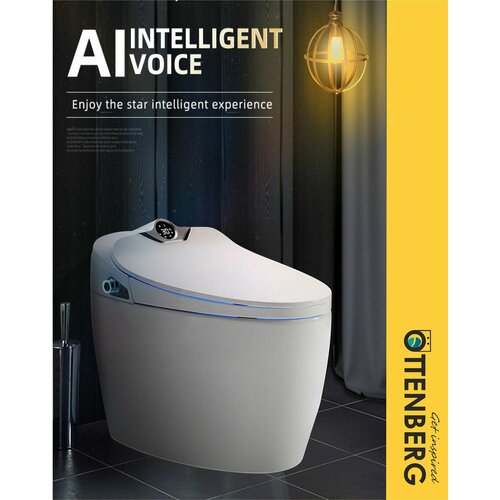 Унитаз Ottenberg Q10-Smart напольный безободковый