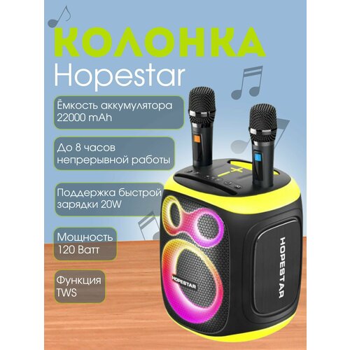 Портативная колонка HOPESTAR PARTY 130 1234000₽
