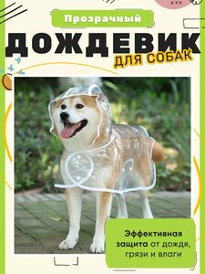 Основная фотография от вендора